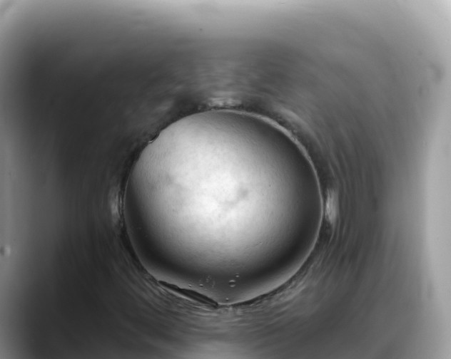 X0000088711444200706071550