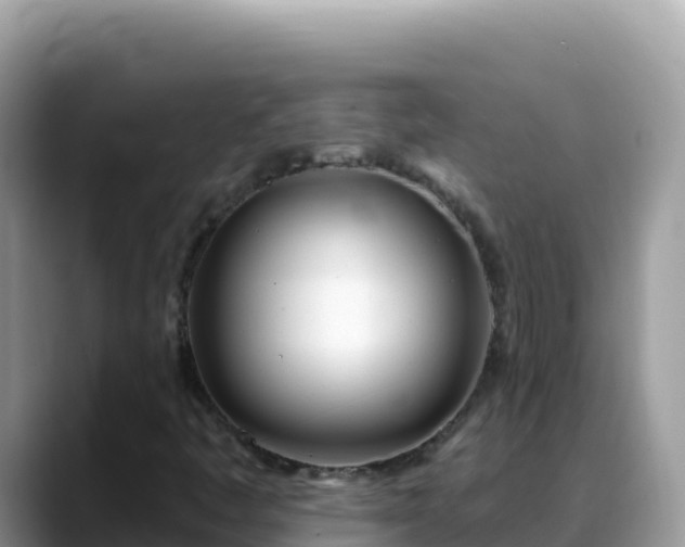 X0000088711445200706071550