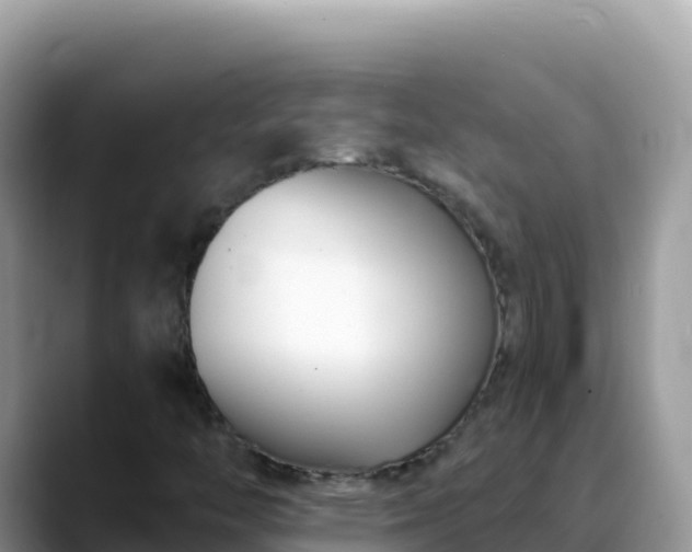 X0000088711446200706071550