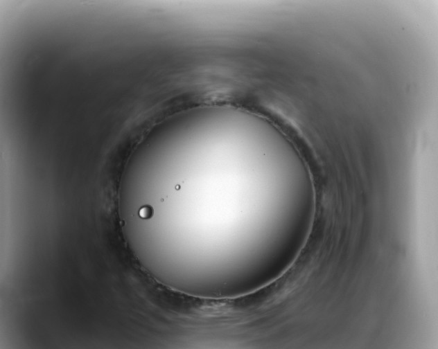 X0000088711447200706071550