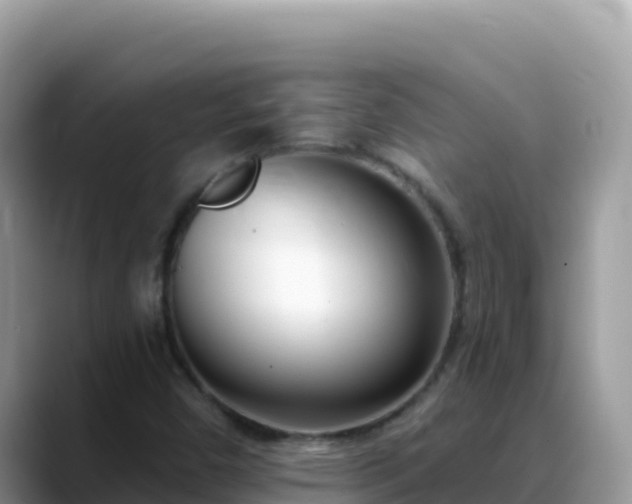X0000088711450200706071550