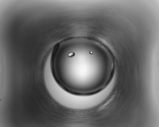 X0000088711453200706071550