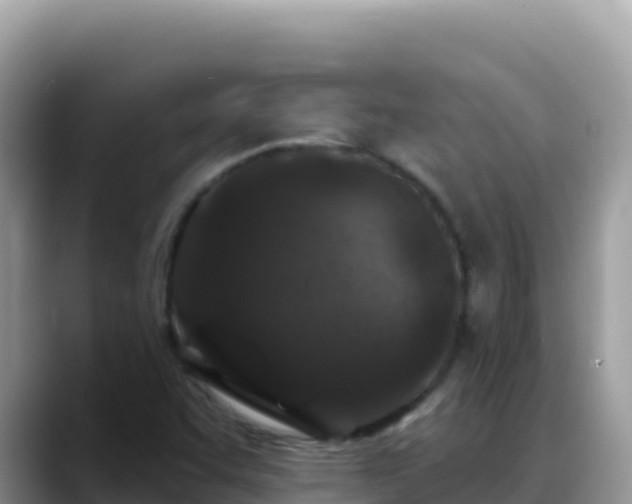 X0000088711455200706071550