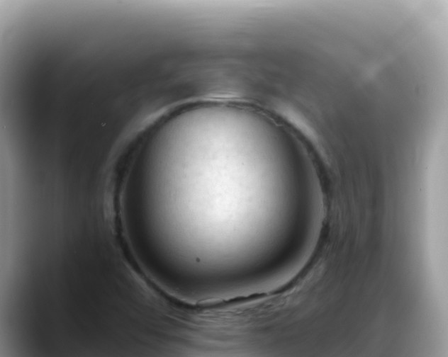 X0000088711456200706071550