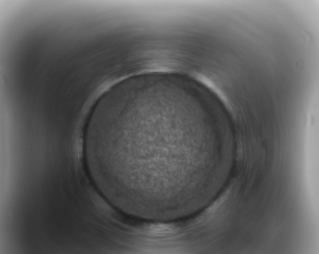 X0000088711459200706071550