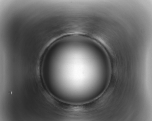 X0000088711460200706071550