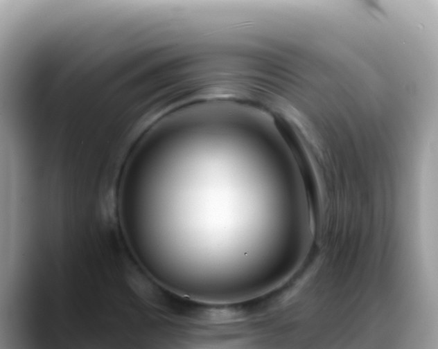 X0000088711465200706071550