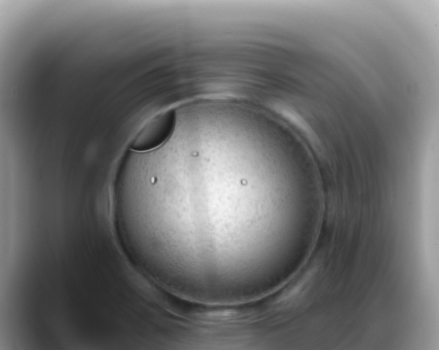 X0000088711467200706071550