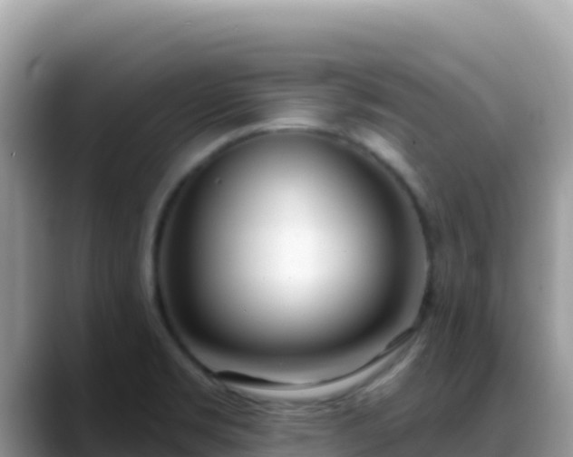 X0000088711469200706071550
