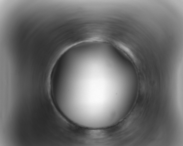 X0000088711479200706071550