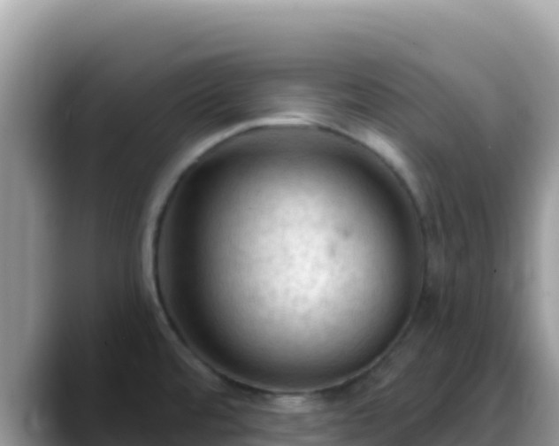 X0000088711480200706071550