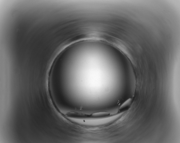 X0000088711484200706071550