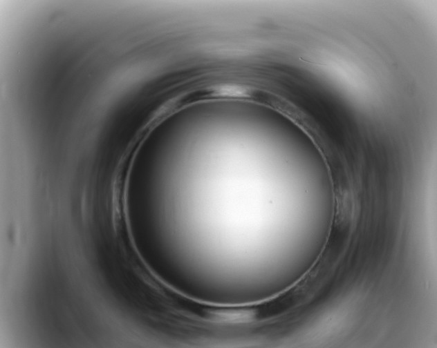 X0000088711487200706071550
