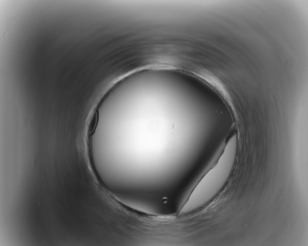 X0000088711488200706071550