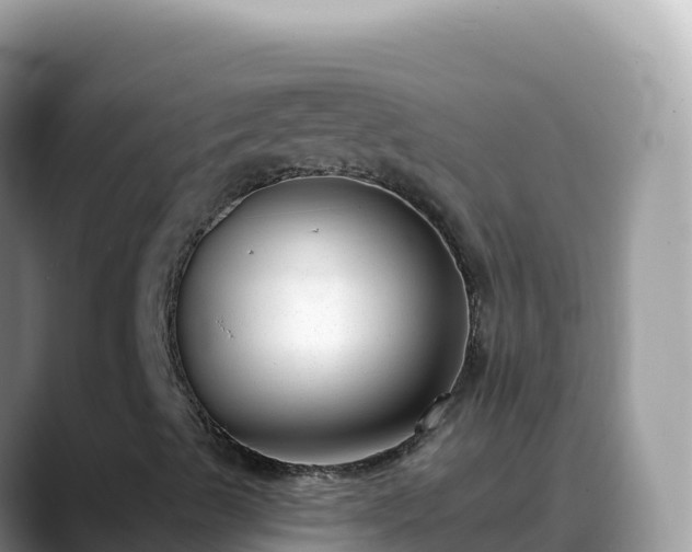 X0000088711489200706071549