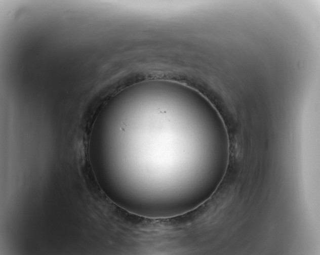 X0000088711493200706071549