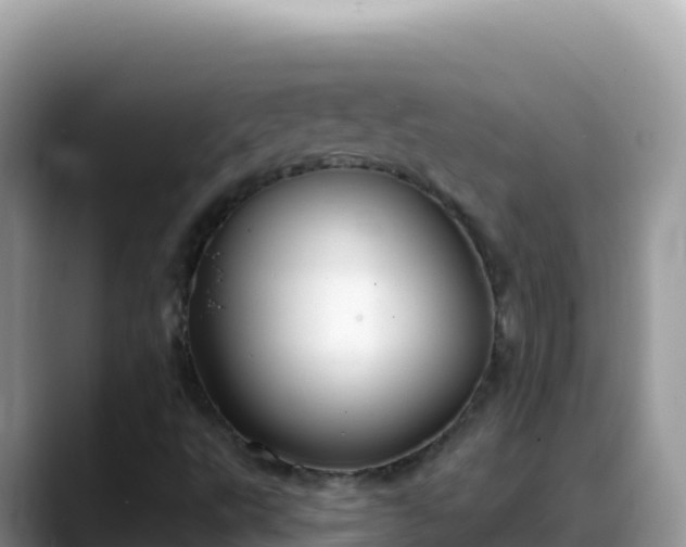 X0000088711495200706071549