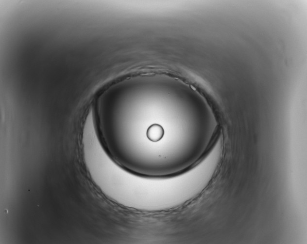 X0000088711496200706071549