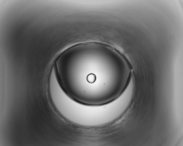 X0000088711500200706071549