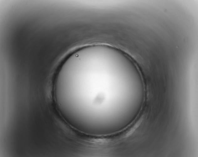 X0000088711502200706071549