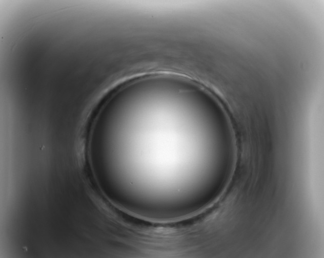X0000088711503200706071549