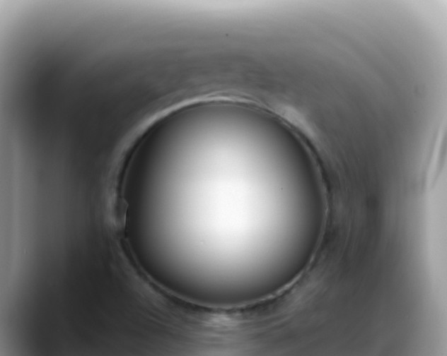 X0000088711504200706071549