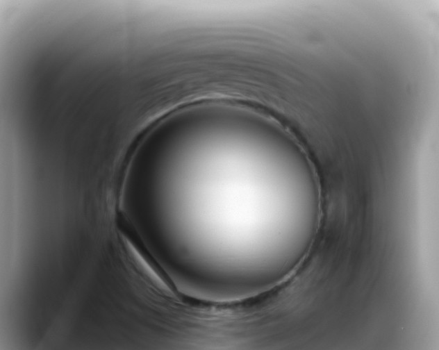 X0000088711505200706071549
