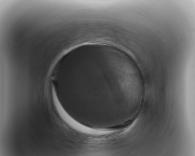 X0000088711506200706071549
