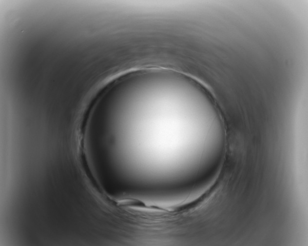 X0000088711507200706071549