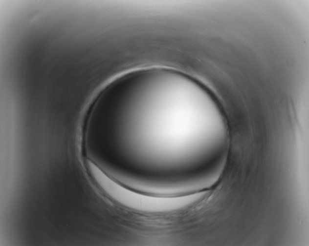 X0000088711508200706071549