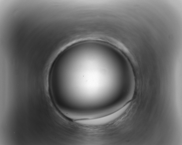 X0000088711512200706071549