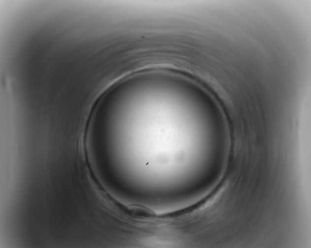 X0000088711513200706071549