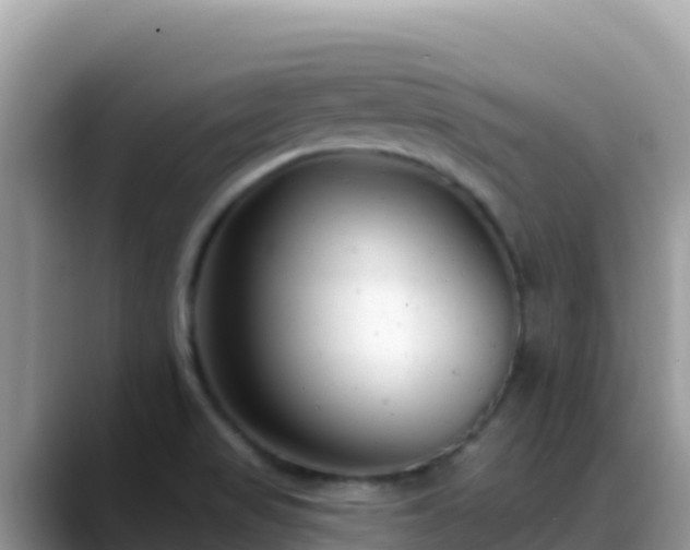 X0000088711517200706071549