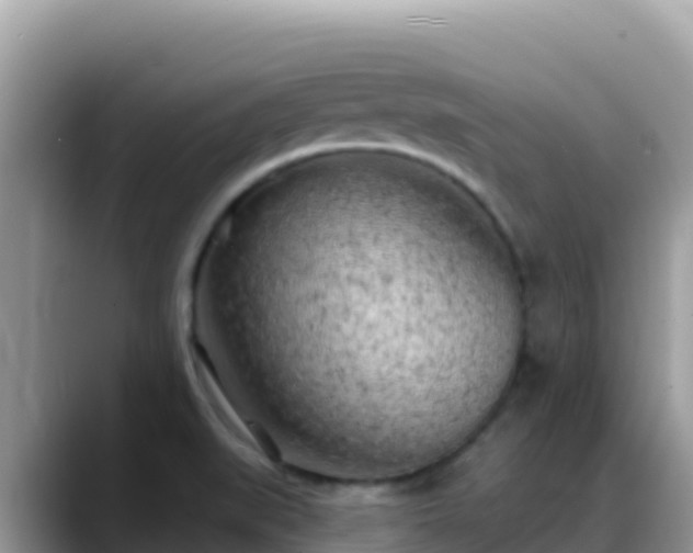 X0000088711519200706071549