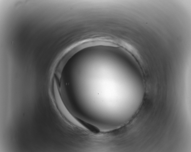 X0000088711520200706071549