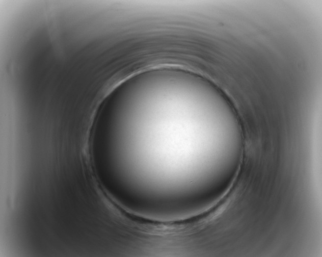 X0000088711521200706071549