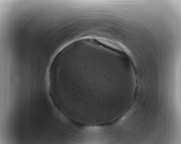 X0000088711522200706071549