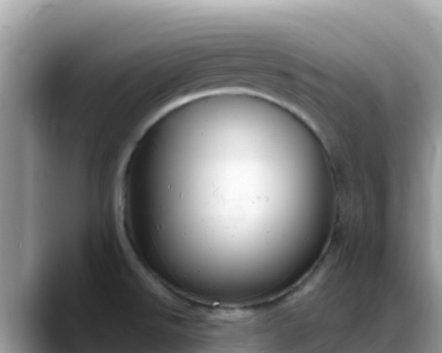 X0000088711526200706071549
