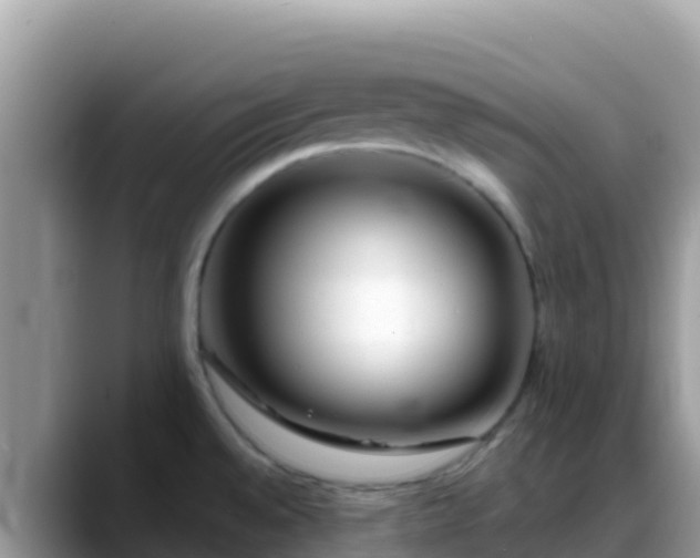 X0000088711528200706071549
