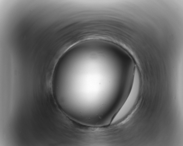 X0000088711529200706071549
