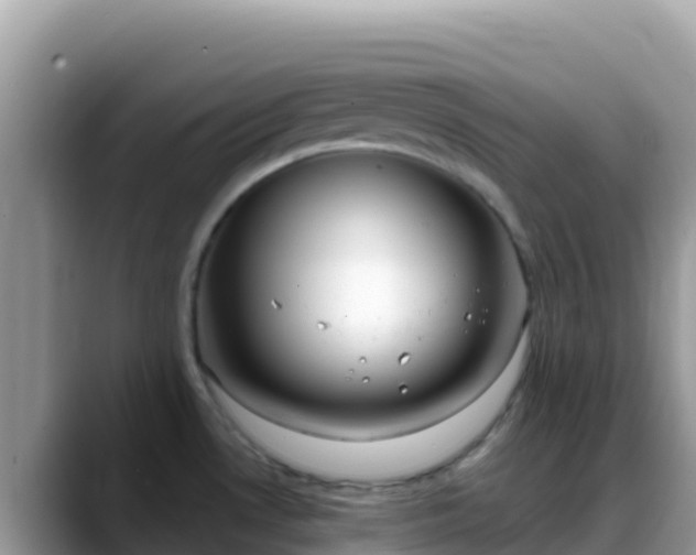 X0000088711530200706071549