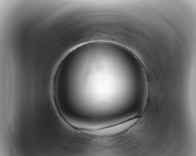 X0000088711531200706071549