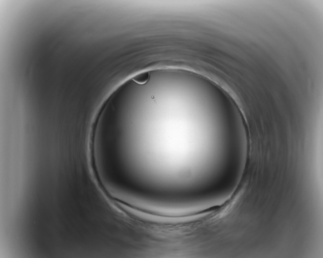X0000088711533200706071550