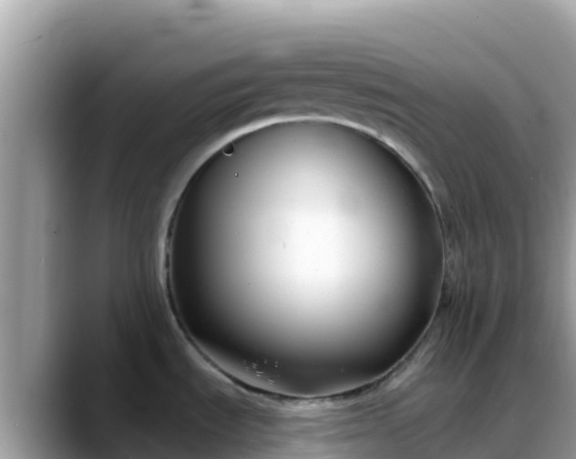 X0000088711535200706071550