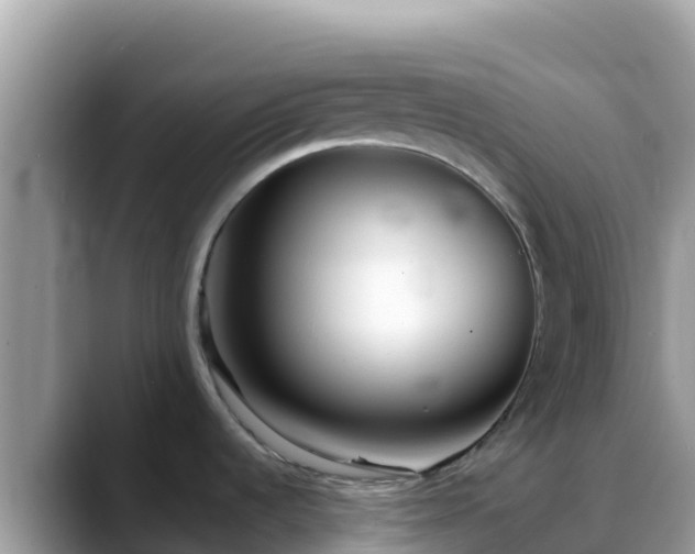 X0000088711536200706071550