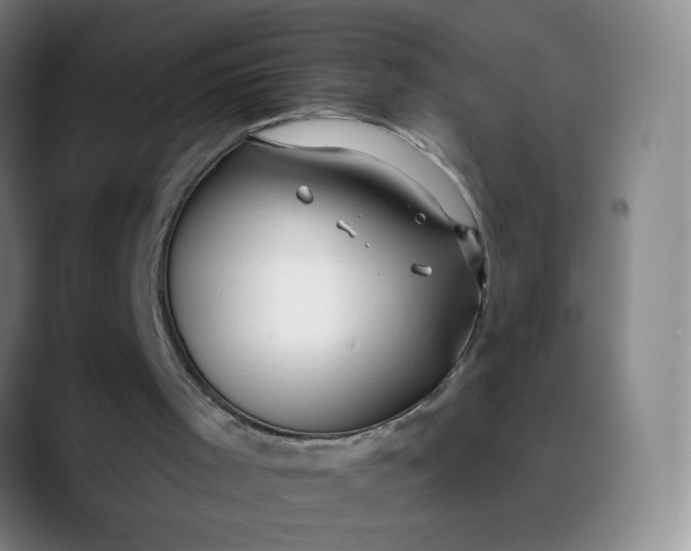 X0000088710001200706141457