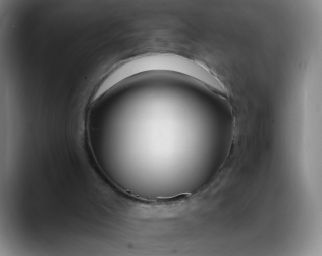 X0000088710005200706141457