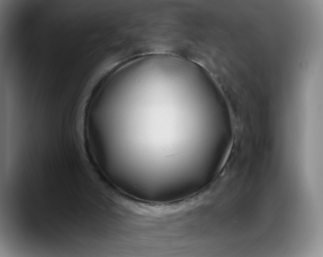 X0000088710006200706141457