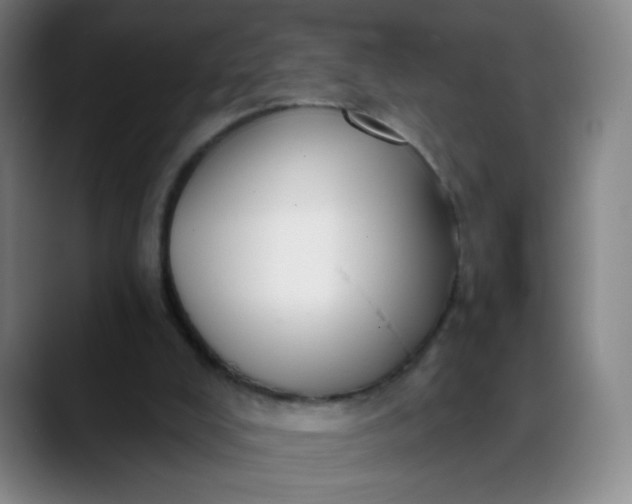 X0000088710008200706141457