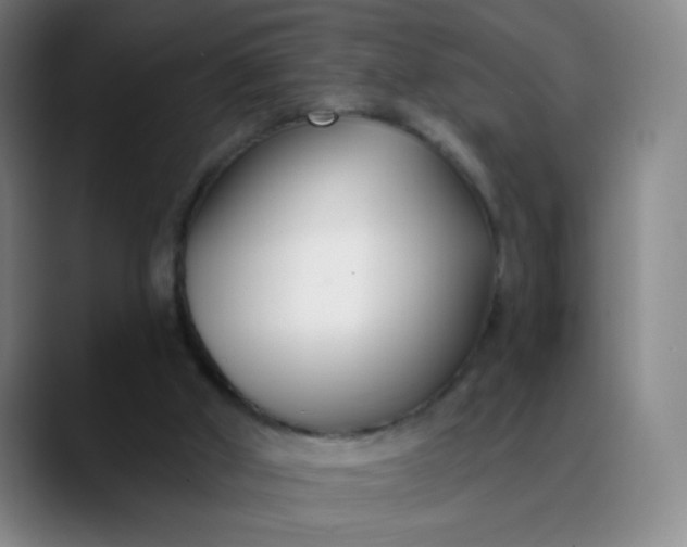 X0000088710010200706141457